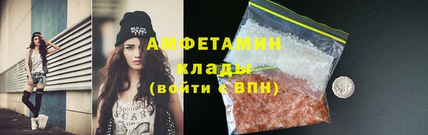 молекула духа Алексин
