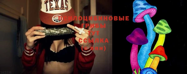 хмурый Алзамай
