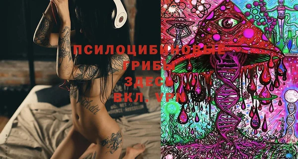молекула духа Алексин