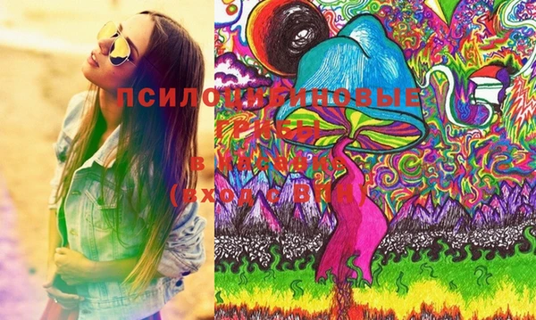 хмурый Алзамай