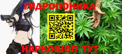 прущие крисы Пенза