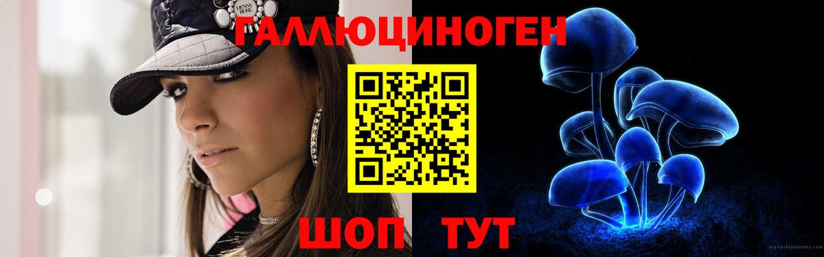 Северодвинск  Галлюциногенные грибы Psilocybine cubensis  Вход с VPN  Псилоцибиновые грибы Psilocybe 